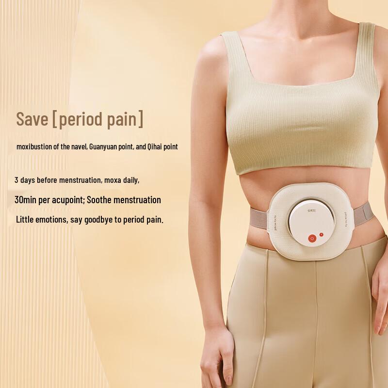 Breo Ginger Bamboo Portable Electronic Moxibustion Device CN plug (adapter included)
