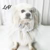 Pet Protection from Grass Dog Face Mesh Net Anti Eating Headgear Breathable Adjustable Lightweight Training Accessories Head Cover for Small Medium