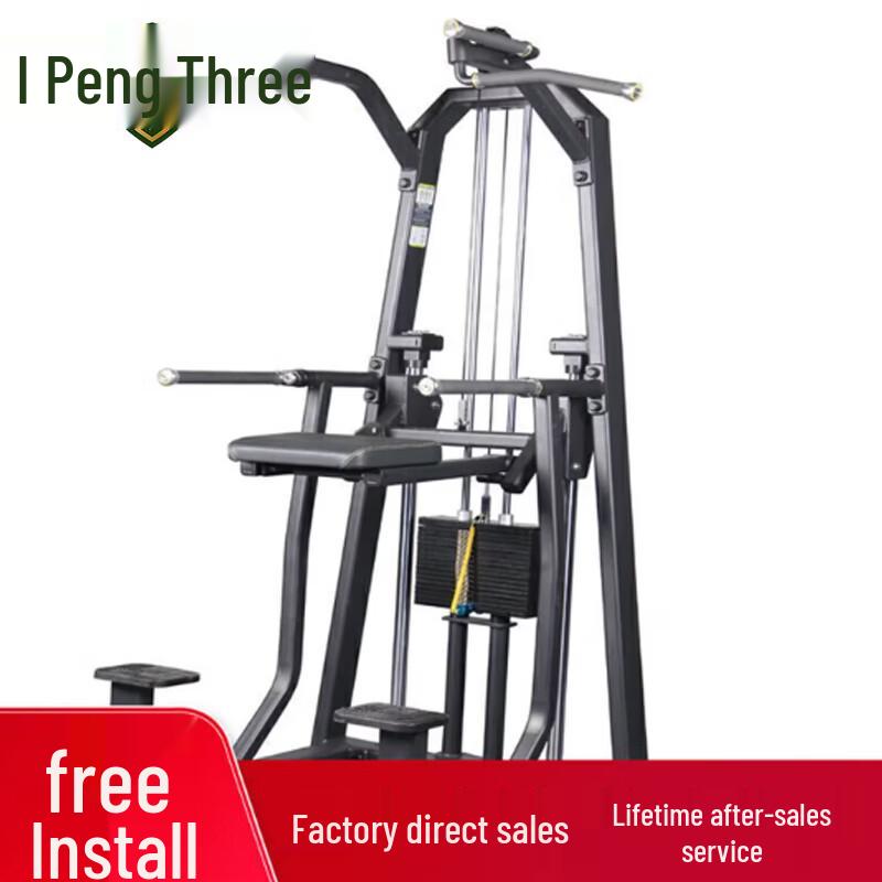 Rongpeng Multifunction Dip Station & Power Tower