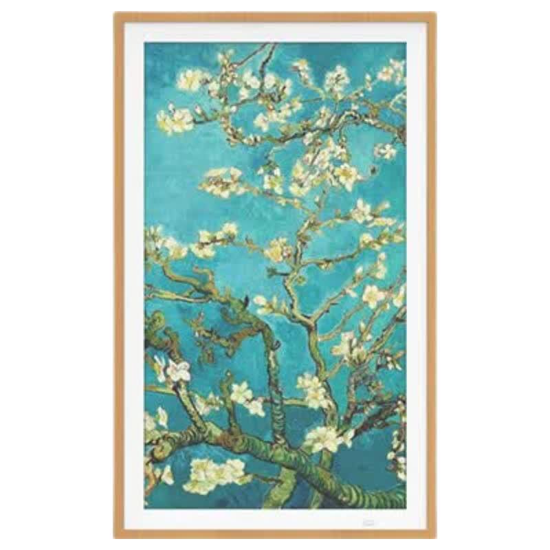 BOE A2 32-inch Paper-like Eye Protection Digital Art & Photo Display CN plug (adapter included)