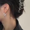 Gothic Punk Metal Flame Creative Earrings Neutral Exaggerated Irregular Geometric Perforated Earrings Daily Jewelry Gifts