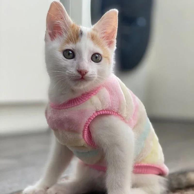 Tecknad Husdjursväst - Varm Vinter Hund Katt Tröja för Små Husdjur Söt Valp Kattunge Kappa Jacka & Säsongsmässig Outfit