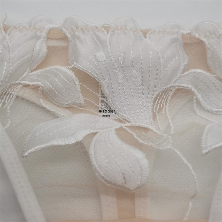 Europejskie i Amerykańskie Damskie Seksowne Ultracienkie Przezroczyste Bawełniane Majtki z Niskim Stanem, Haftowane Koronką