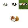 Realistic Animal Model Toy For Kids Tiny Furry Hamster, Guinea Pig And More!