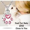 abooxiu Paw Print Urn Necklace for Ashes Cremation Necklace for Pet Ashes Stainless Steel Ash Necklace Memorial Ash Holder
