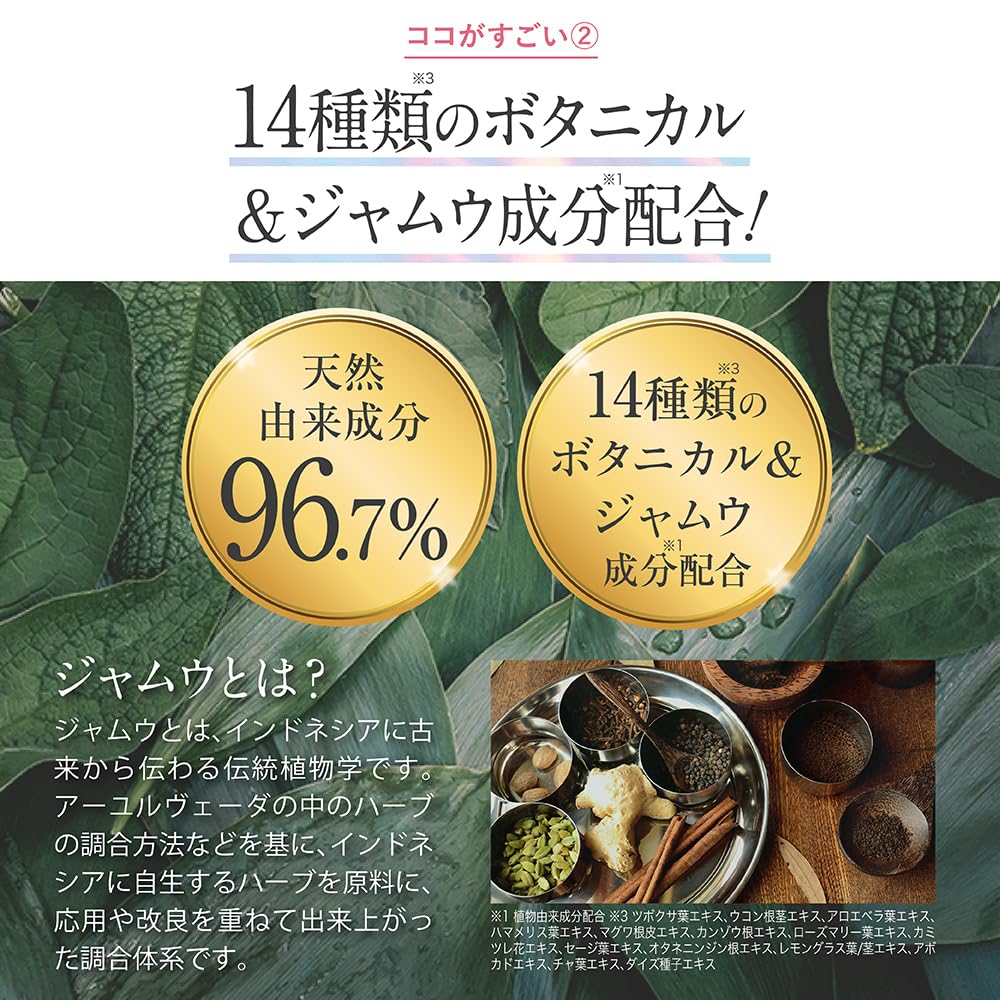 femfem Delicate Zone Sheet Smell Care Blackhead Itching Botanical Care Sweat Deodorant Alcohol Free (2 pieces)