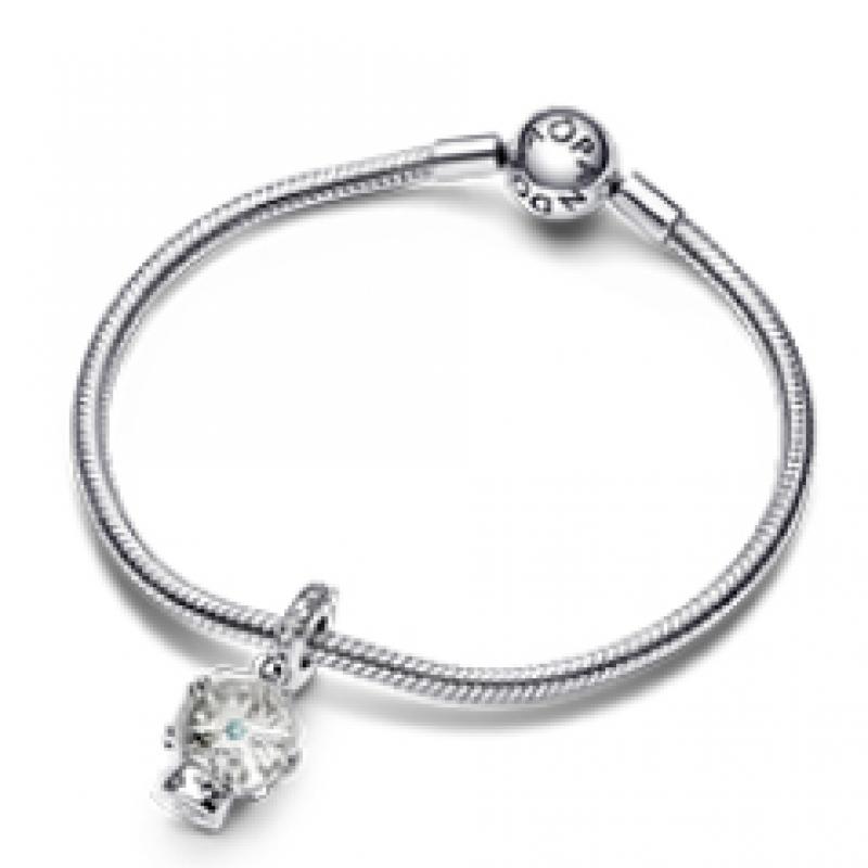 Pandora Snowflake Snowglobe Dangle Charm 792369c01