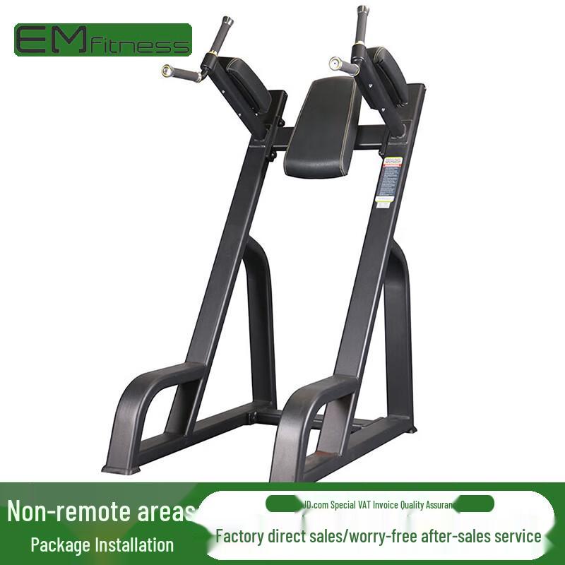 Yimai Commercial Dip & Knee Raise Station