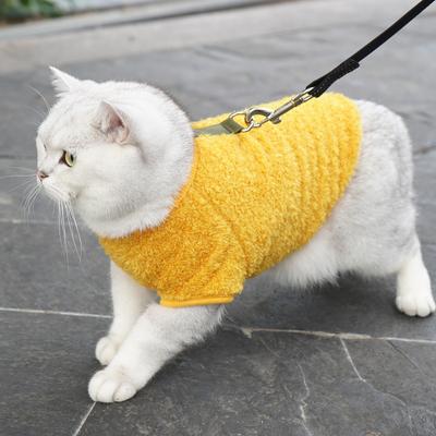 Abbigliamento e scarpe – Maglioni per cani