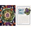 The Illustrated Herbiary: Guidance and Rituals from Bewitching Botanicals (Wild Wisdom)