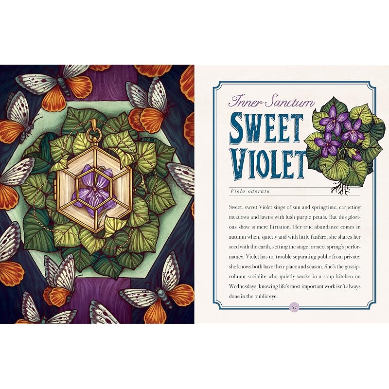 The Illustrated Herbiary: Guidance and Rituals from Bewitching Botanicals (Wild Wisdom)
