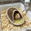 Breathable Hamster Cool Nest Wear Resistant Small Pet Bed Durable Pet Cave Nest  Pet Resting