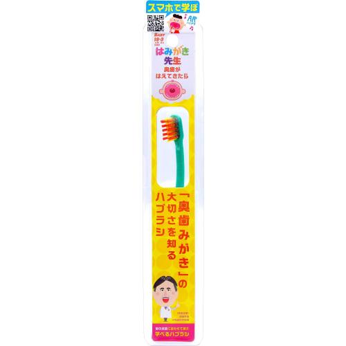 Okamura Hamiki Sensei Baby Toothbrush for Cleaning Molars, for When Molars Erupt, Set of 4 (2 of Each Color)