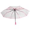 Promotion! Transparent Umbrella Automatic Umbrella Rain Women Men Sun Rain Auto Umbrella Compact Folding Windproof Style Clear U