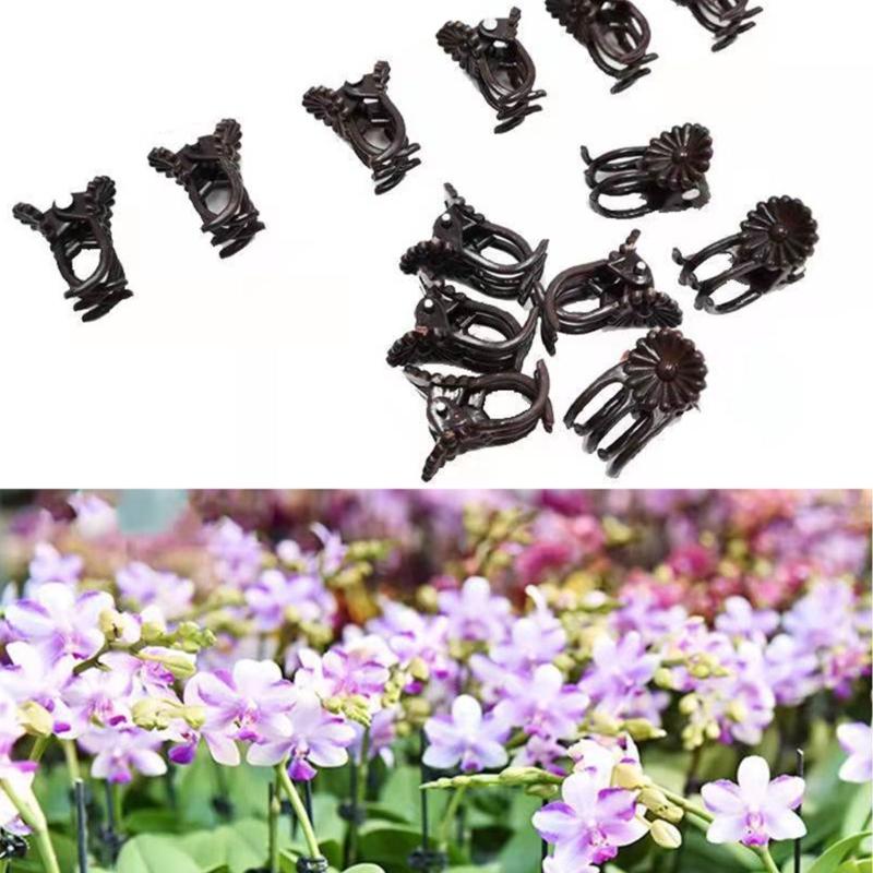 20/40/100Pcs Plant Clip Orchid Clip Plant Orchid Support Clip Flowers and Vine Clip for Support Stem Vine Growing