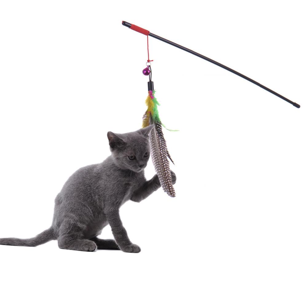 cat catcher toy