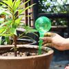Automatic Plant Watering Globe Self Watering Planter Insert Glass Bulb Flower Drip Irrigation Feeder