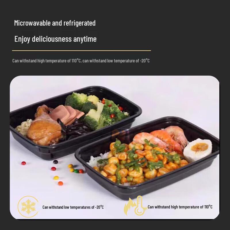 Disposable Rectangular Food Containers with Lid