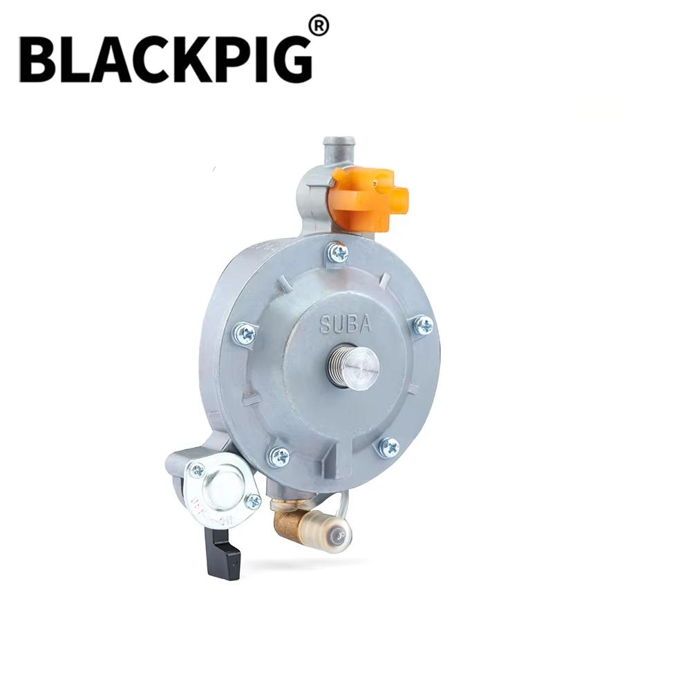 GT241 154F Engine LPG Dual Fuel Carburetor Reducer Assy Gasolina Petrol Generator Parts