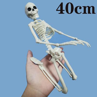 Modello di scheletro umano attivo da 40 cm Apprendimento medico Anatomia Scheletro Modello Decorazione festa di Halloween