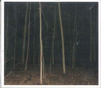 CD EXPRESS RISING - Fixed Rope ER8016 NOT ON LABEL 2018 US Rock