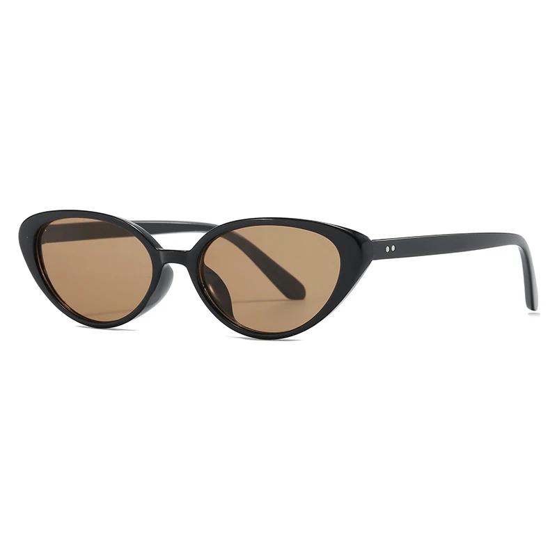 Rivets Brown Cat Eye Sunglasses for Women Retro Designer UV400 Protection Fashion Shades Purple Eyewear