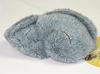 Naitou Design Underwater Walk Pochamaru Series Plush Toy S Shell Series Shijimi Total Length Approx. 11cm