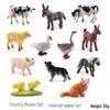 Cross-border Farm Animal Models: Children's Cognitive Toys - Chicken, Duck, Goose, Cow, Sheep, Pig, Horse, Donkey, Cat & Dog