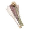 100pcs Mixed Dried Pampas Grass Bouquet Bunny Tail Pampas Reed Grass Home Decor Table Centerpieces
