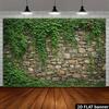 Natural Cobblestone Wall Trailing Ivy Greenery Photo Background