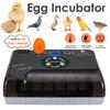 AC 110-220V Automatic Incubator 20 Chick Egg Large Capacity Incuator Digital Temperature Control Brooder Quality Hatchery Machine Black+White