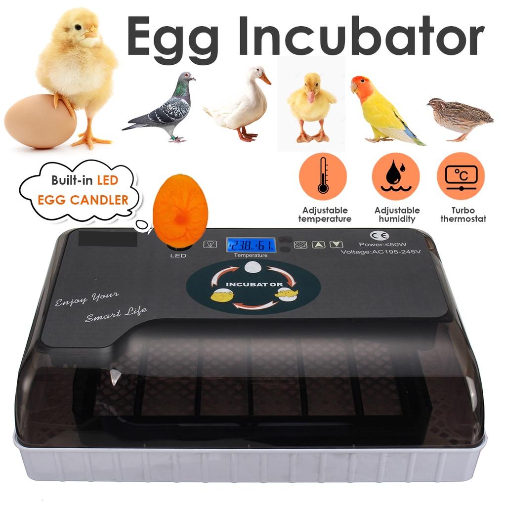 AC 110-220V Automatic Incubator 20 Chick Egg Large Capacity Incuator Digital Temperature Control Brooder Quality Hatchery Machine Black+White