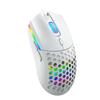 Wired Mouse Hollow Design with 6400DPI Colorful Backlit Ergonomic for Gaming and Working S500 Black