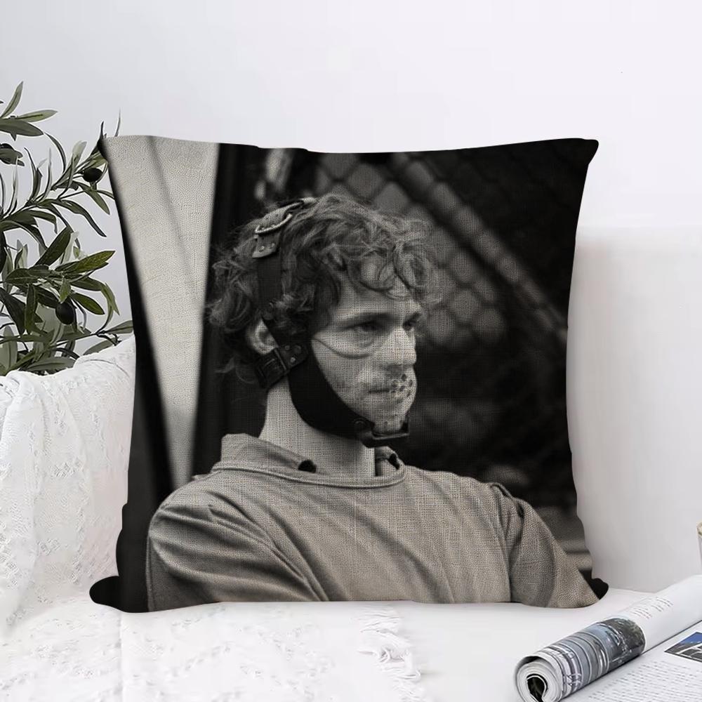 Im Insane Will GGraham Cushion Cover Eco Linen Pillow Case DoubleSided Print Breathable Durable Zipper Home Decor Gift