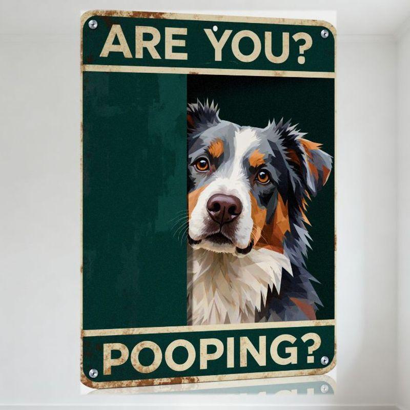 

Vintage Rustic Metal Sign ARE YOU POOPING with Australian Shepherd Illustration, Distressed Green Background, Rust Border fo 20x30cm（7.8x11.8inch）