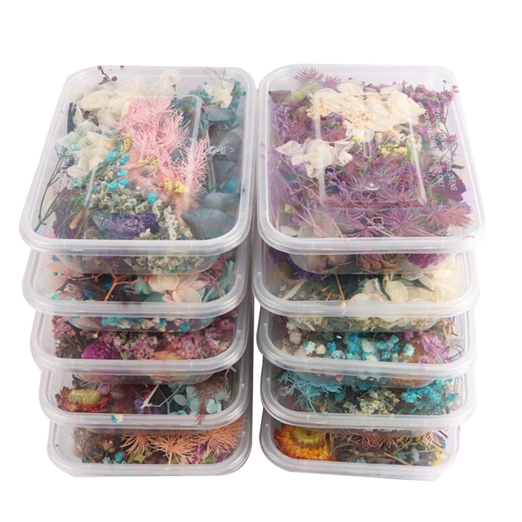 Gemischte Trockenblumen für Scrapbooking Seifen- und Kerzenherstellung Dekoration DIY Bastelbedarf