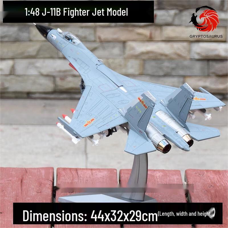 Eagle Beak Dragon J-11B Fighter Jet Model