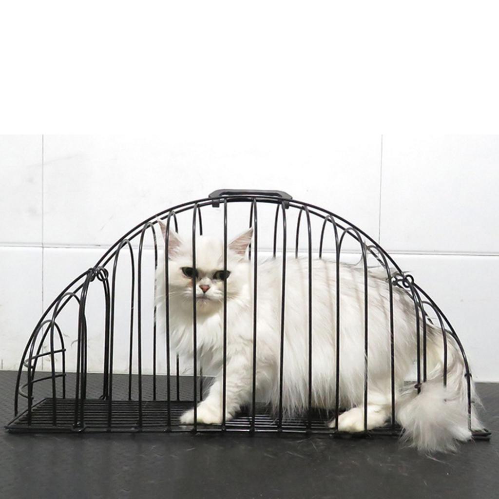 cat shower cage