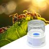 12ml Clear Ant Feeder Crickets Water Tower Station Anti-Drowning Transparent Drinking Feeder Ant Water Bowl For Ant Crickets
