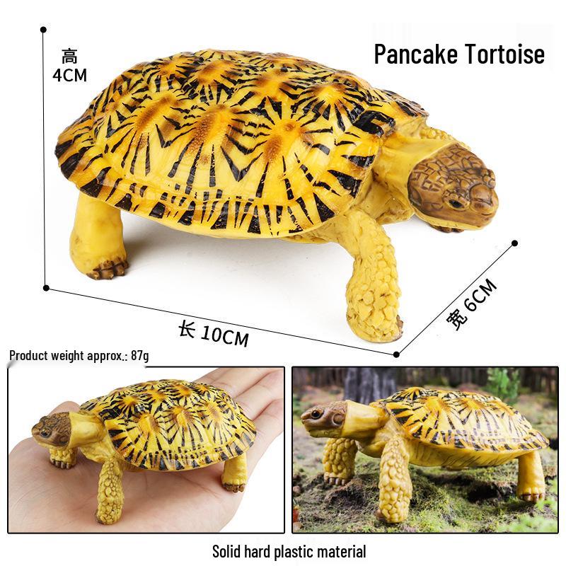 Cross-Border Children's Cognitive Amphibian & Reptile Tortoise Model Fish Tank Ornament Toy