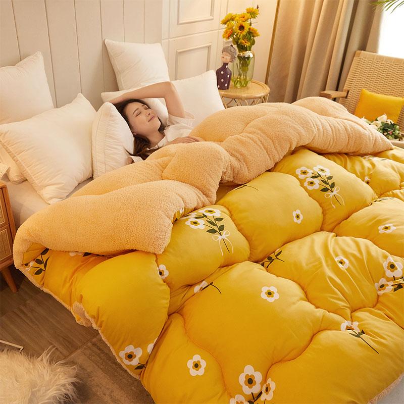 Winter 5Kg Lamb Velvet Quilt Dormitory Single Double Home Hotel Quilt Core 1.5M Thickened 1.8M Luxury Comforter Super Warm Quilt