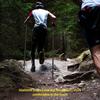 Bețe de trekking din aliaje de aluminiu, 5 secțiuni, cu unealtă multifuncțională de supraviețuire, pentru drumeții și alpinism în aer liber