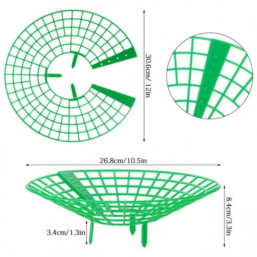 Growing Racks Strawberry Planting Tray Holder Strawberry Supports Plant Fruit Stand  Greenhouse