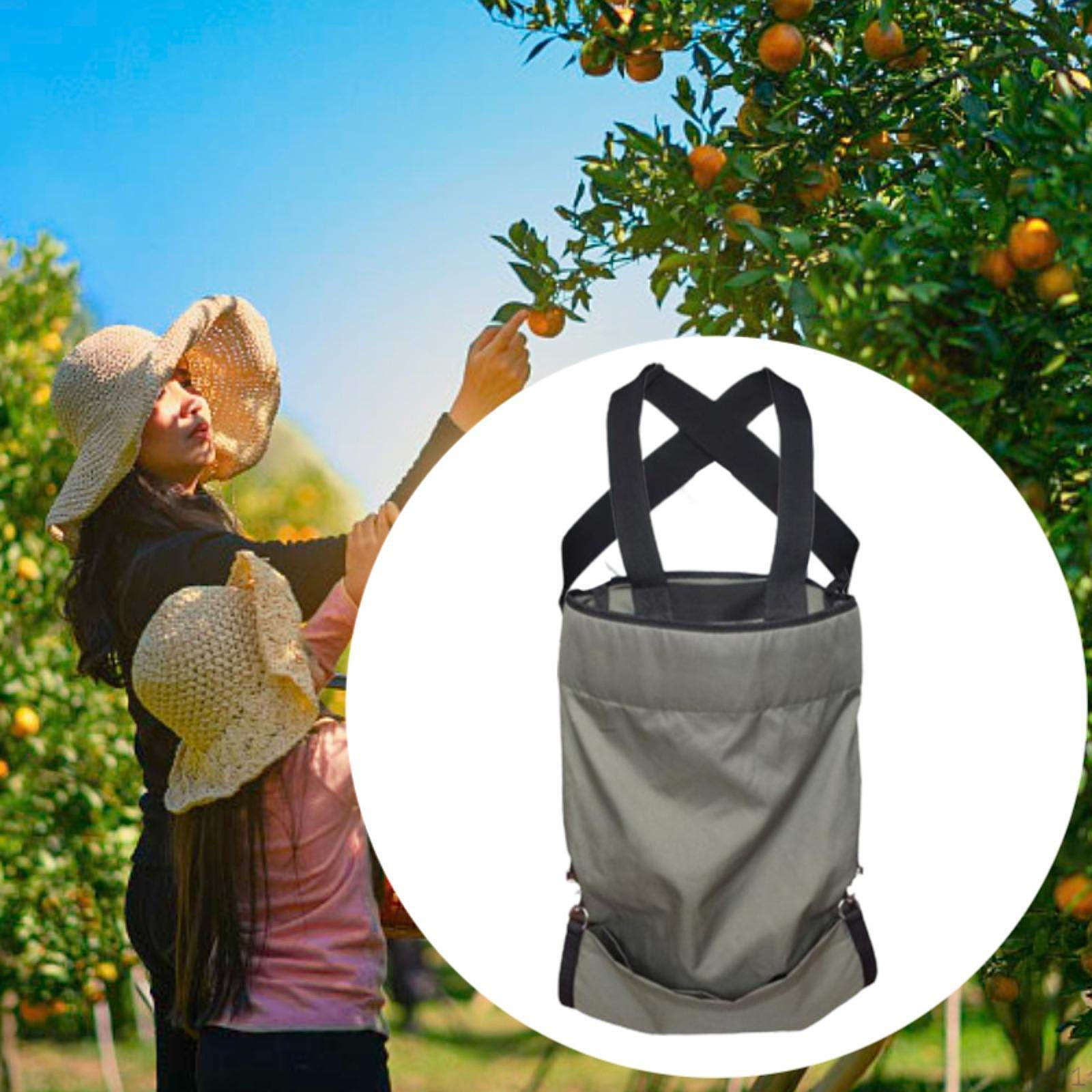 

Фартук для сбора урожая, сумка для хранения фруктов, большой вместимости, регулируемая, переносная, для сбора овощей