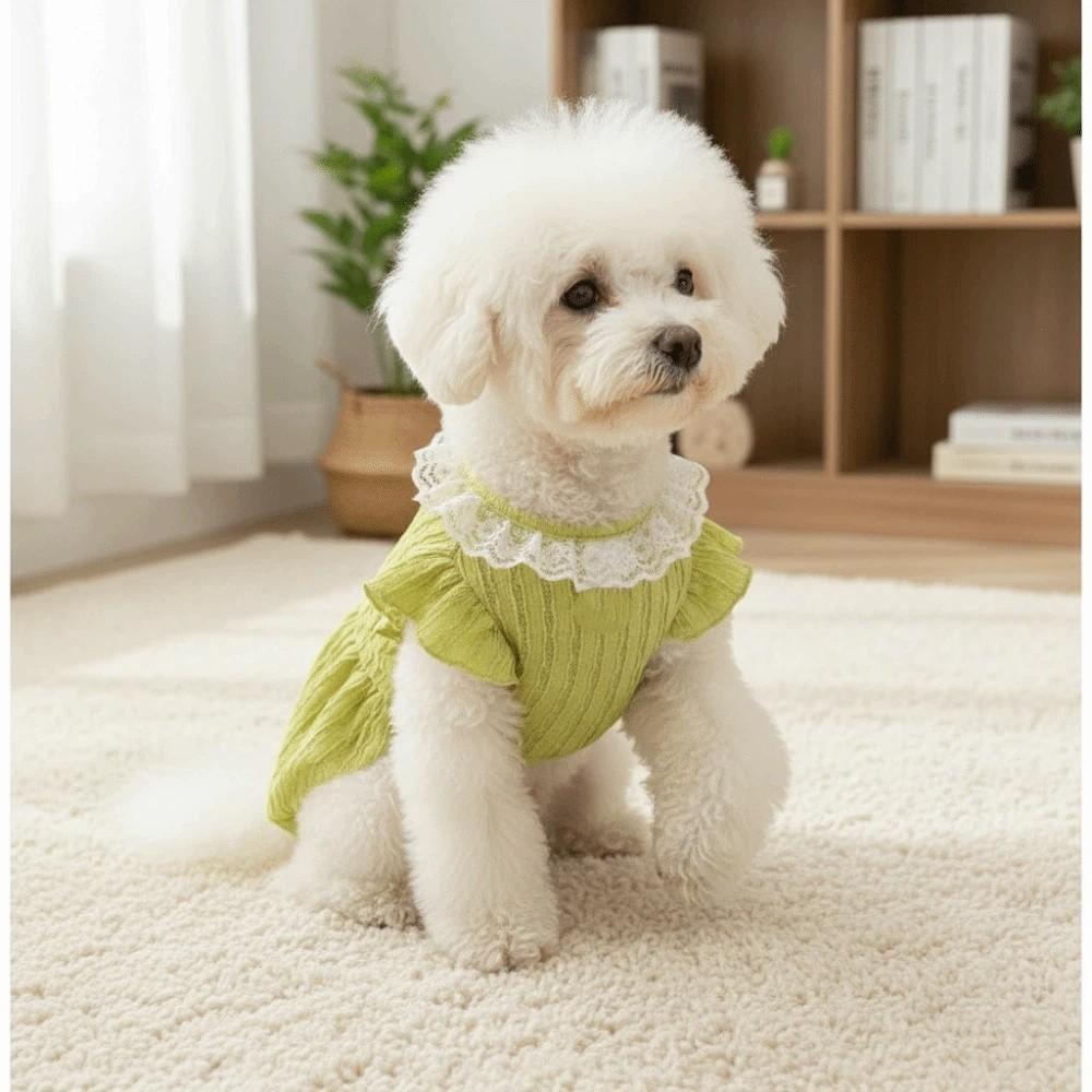 Comfortable Puppy Princess Dress Thin Breathable Pet Puff Skirt Fashion Pet Clothing  Daily Wear