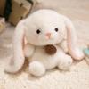 Cute Sitting Animals Panda Fox  Cat Soft Plush Dolls Stuffed Capybara Pig Plushie Baby Toys Gifts For Children Christmas Present
