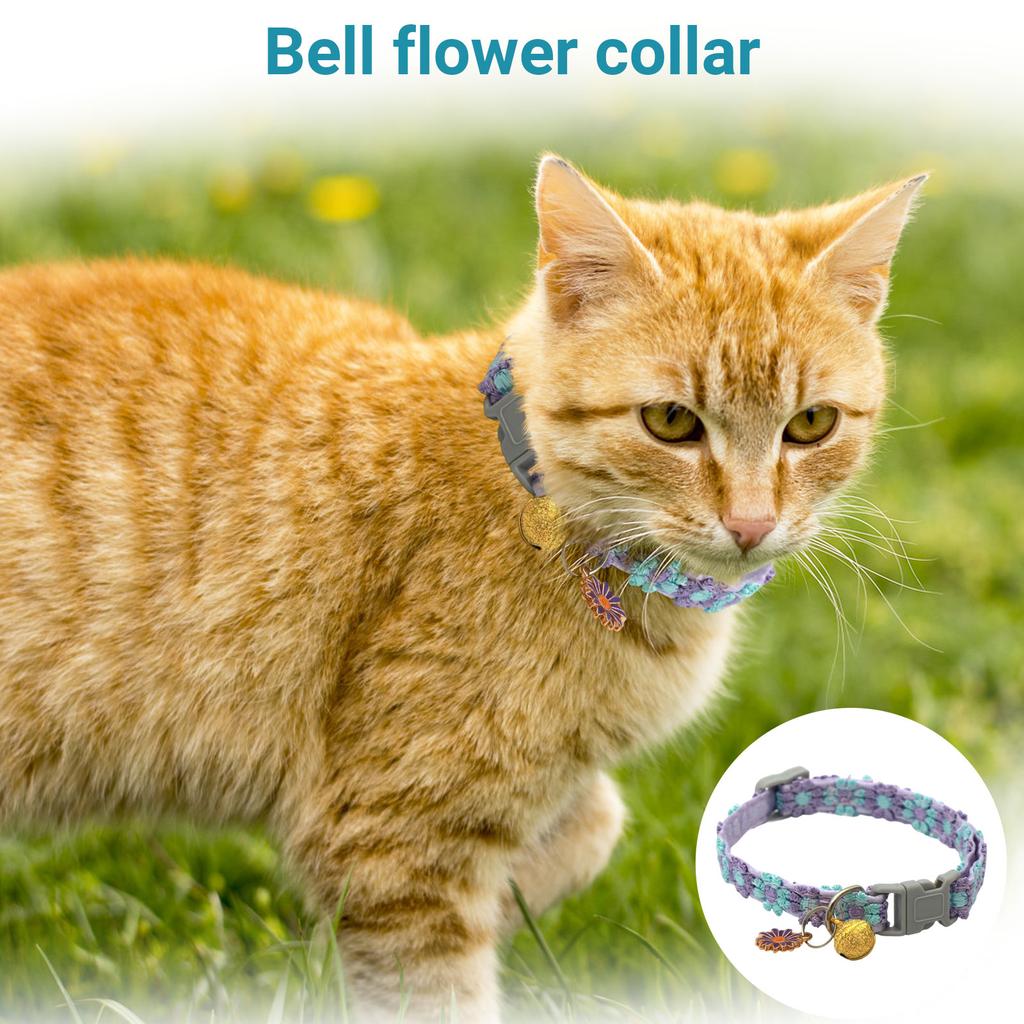 Bunter Spitzblumenkragen mit Glöckchen und Hundehalsband