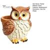 Hand Painted Owl Statue Cute Cartoon Planter, Resin Small Planter Pot, Decorative Micro Landscape Plant Pot for Succulents, Indoor Garden Balcony