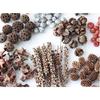 Handmade Wild Pine Cone Christmas Tree Decorative Branches with Dried Flowers