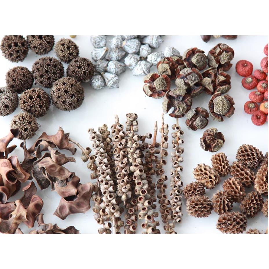 Handmade Wild Pine Cone Christmas Tree Decorative Branches with Dried Flowers